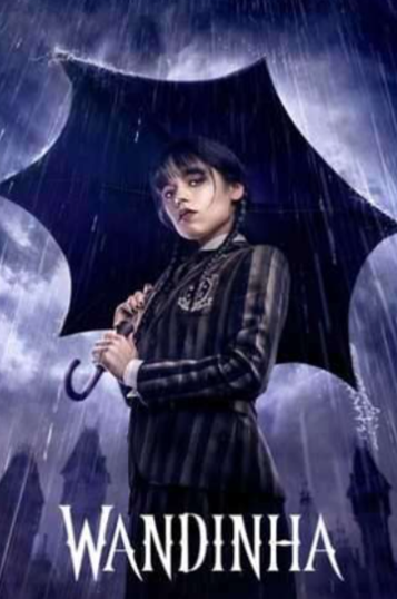 Captura de tela 2026-01-29 142809